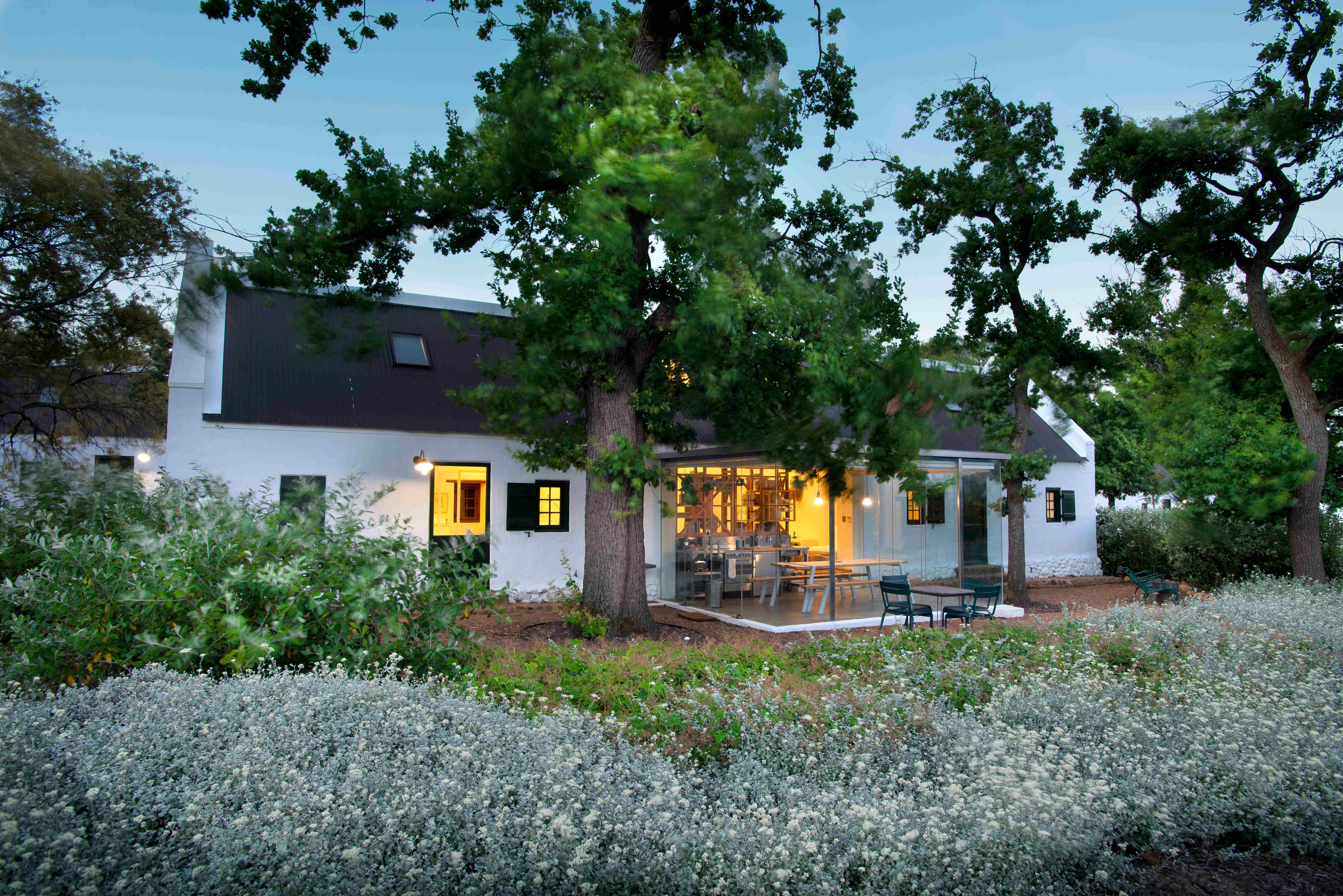 Contemporary Garden Cottage at dusk featuring modern white exterior with dark upper section, expansive illuminated glass doors and windows showing warm interior, surrounded by white flowering plants, mature trees overhead, architectural blend of contemporary and Cape Dutch elements