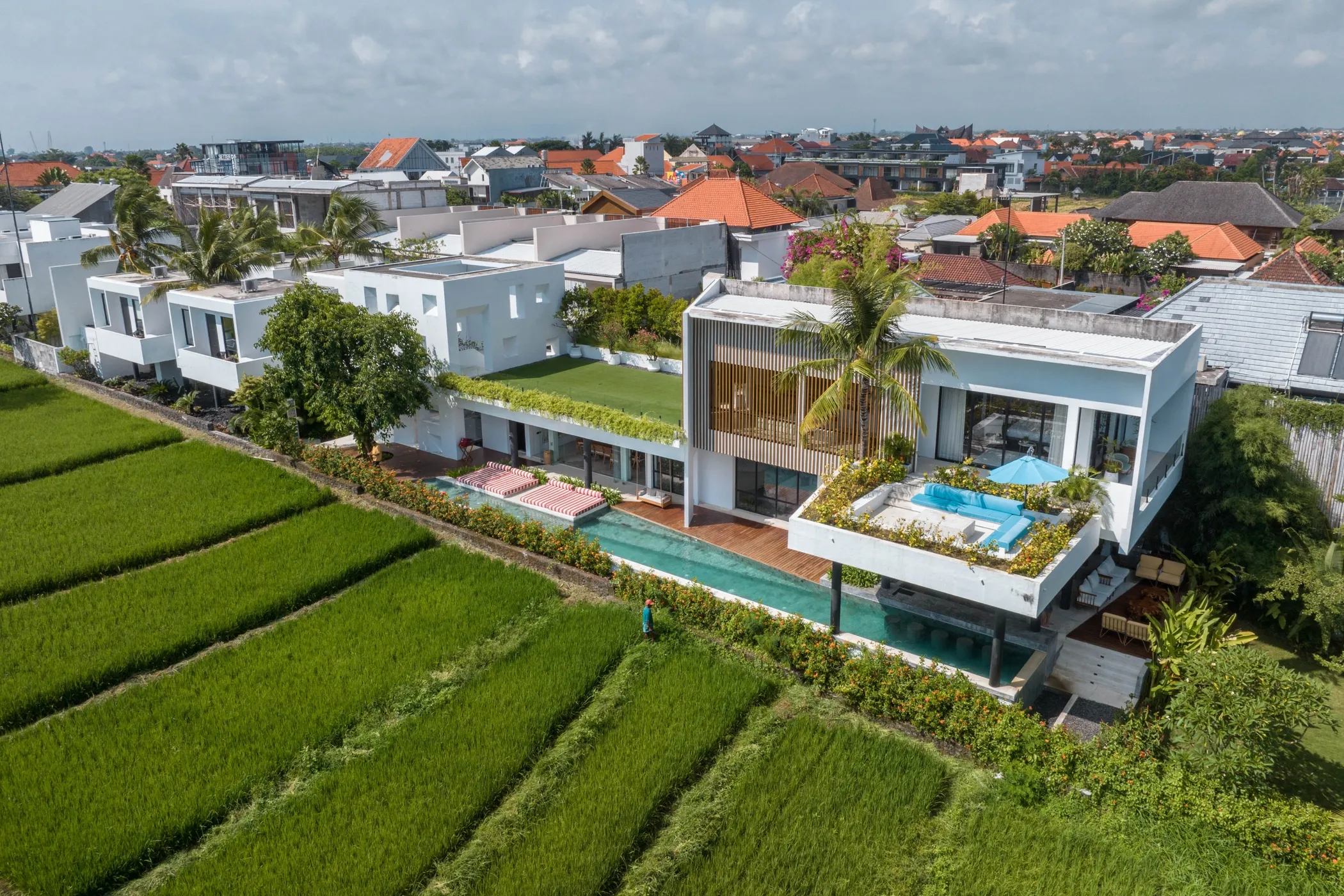 Aerial view of contemporary white Mandala Estate villa with green rooftop garden, turquoise infinity pool, modern minimalist architecture, surrounded by traditional Balinese rice paddies, showcasing the blend of luxury and nature