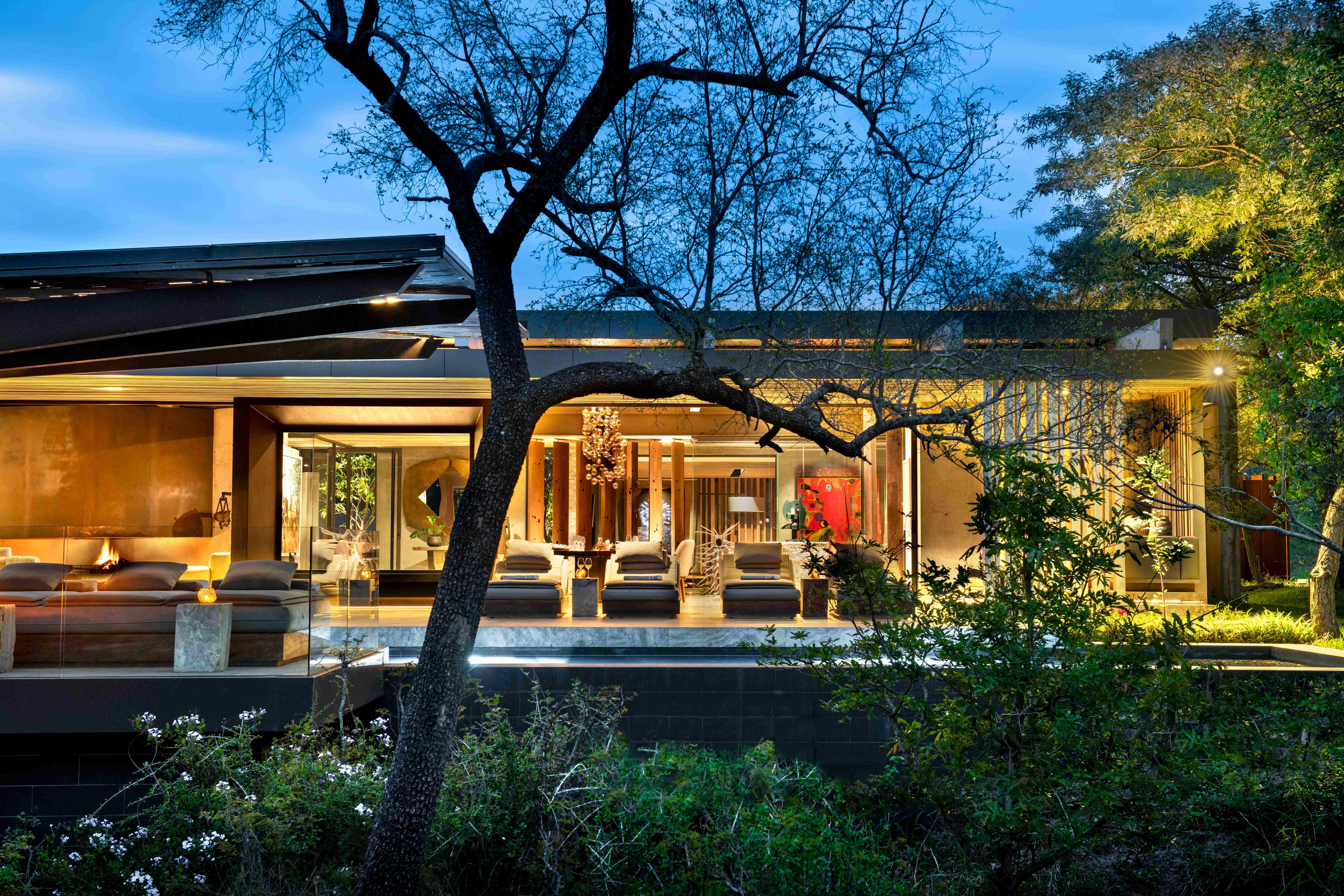 Modern luxury villa at dusk with illuminated facade and dramatic gnarled tree in bushveld setting