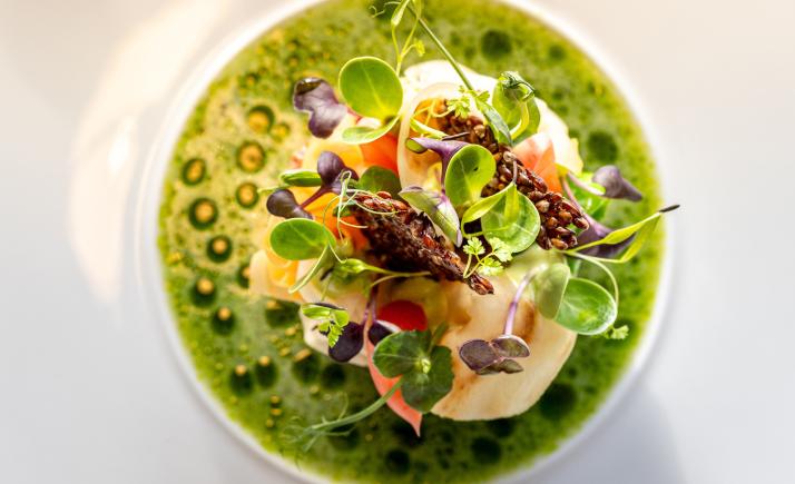 Michelin-recommended fine dining with gourmet plating showcasing local fresh ingredients and herbs at Maslina Resort